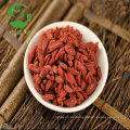 Baya de Goji seca orgánica de la nueva cosecha de China baya fresca de goji